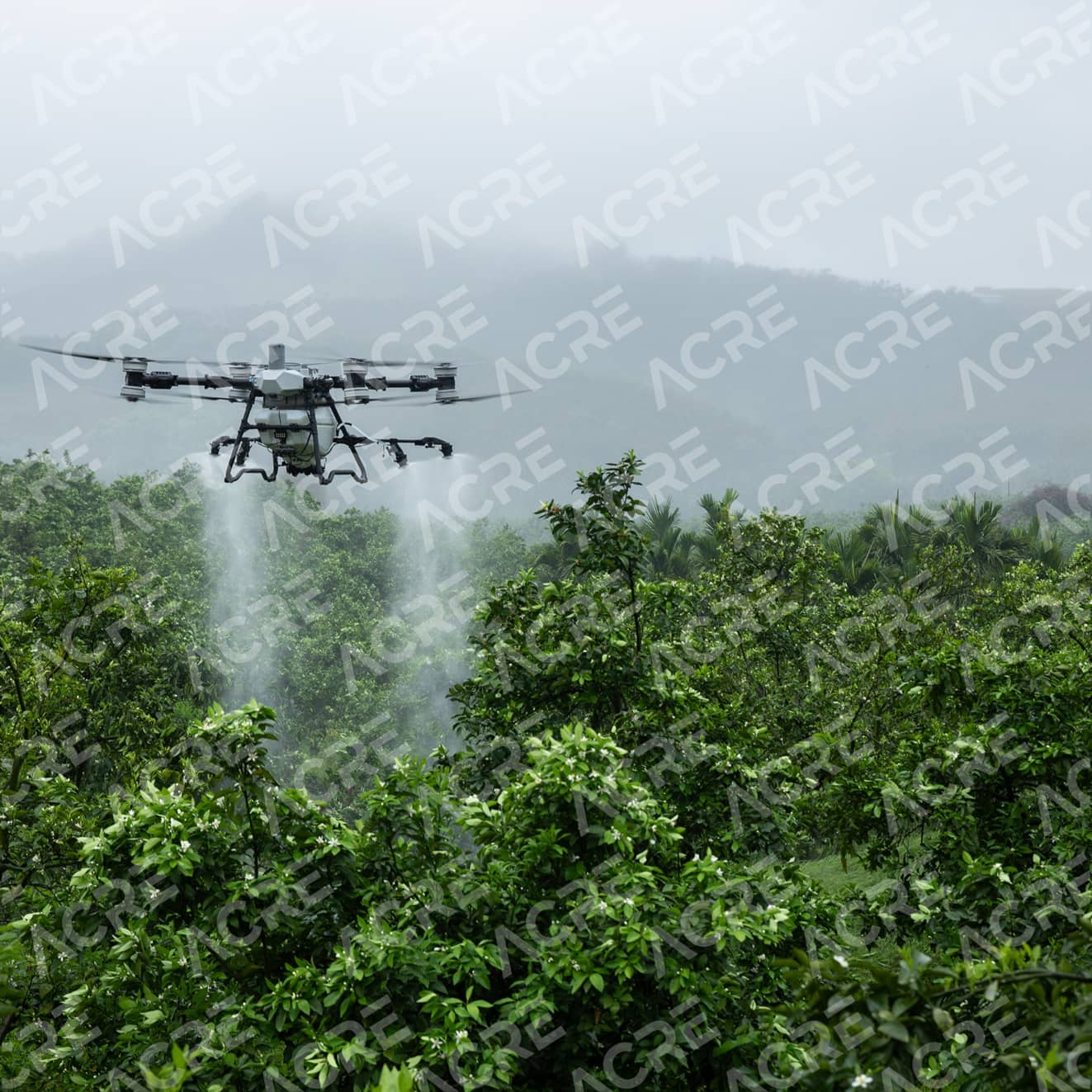 DJI Agras T100 | Dron agrícola de alto rendimiento