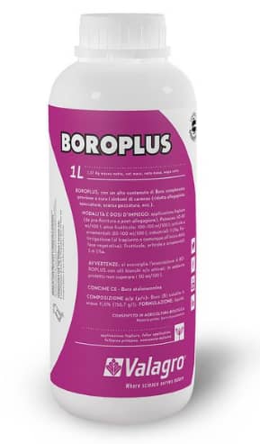 Micronutriente Boroplus X 1 Lt