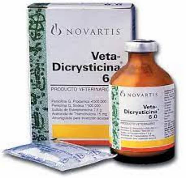 Vetadicrysticina 6.000.000 UI | Antibiótico-antiinflamatorio veterinario