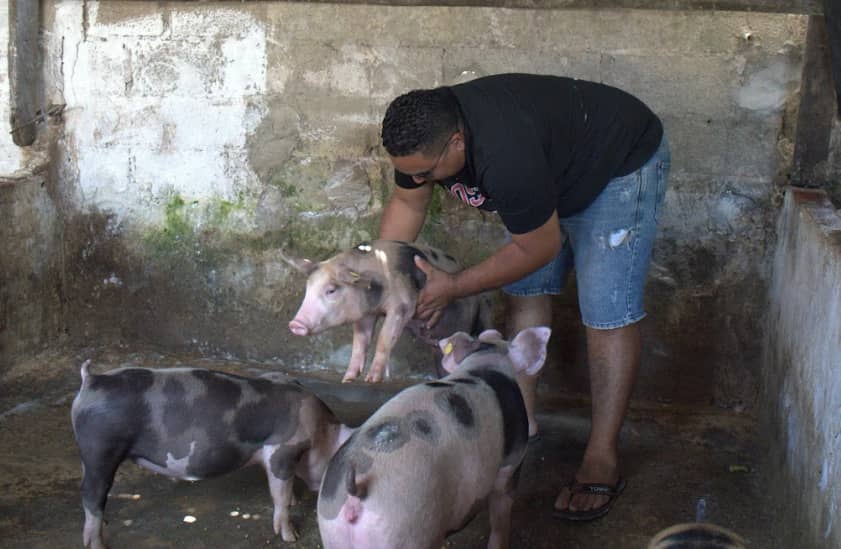 Captura de pantalla 2024-12-10 161053.png