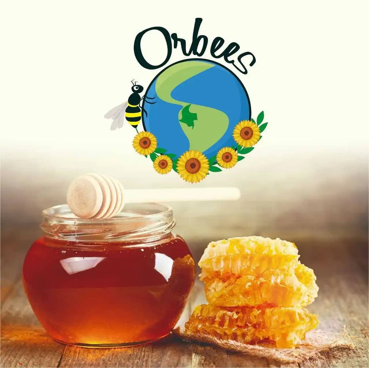 Venta de miel de abeja Dana Lizarralde 300 gr