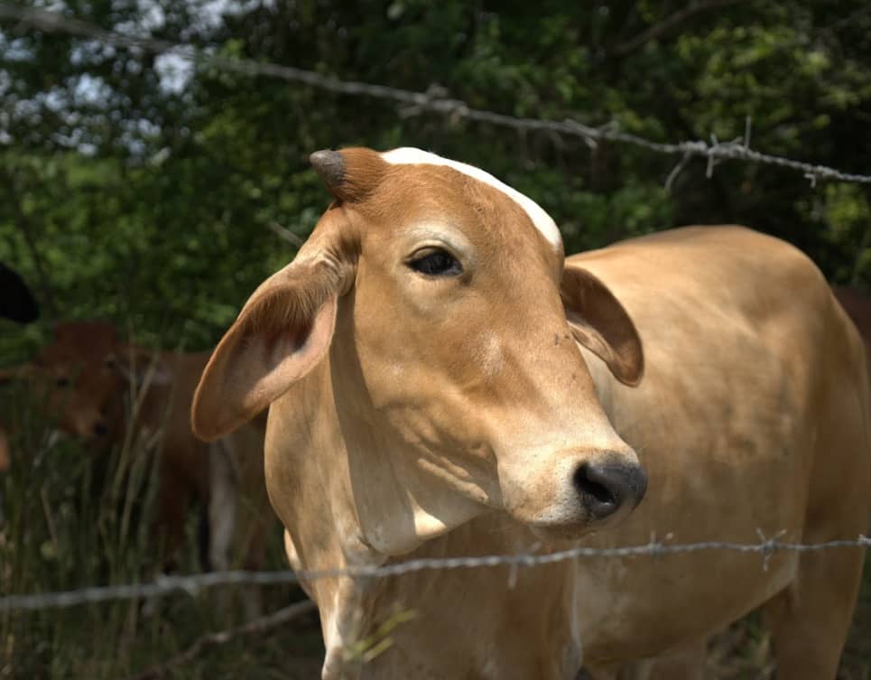 Captura de pantalla 2024-12-19 163759.png