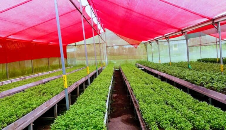 Polisombra para Cultivos y Jardines | Protección UV
