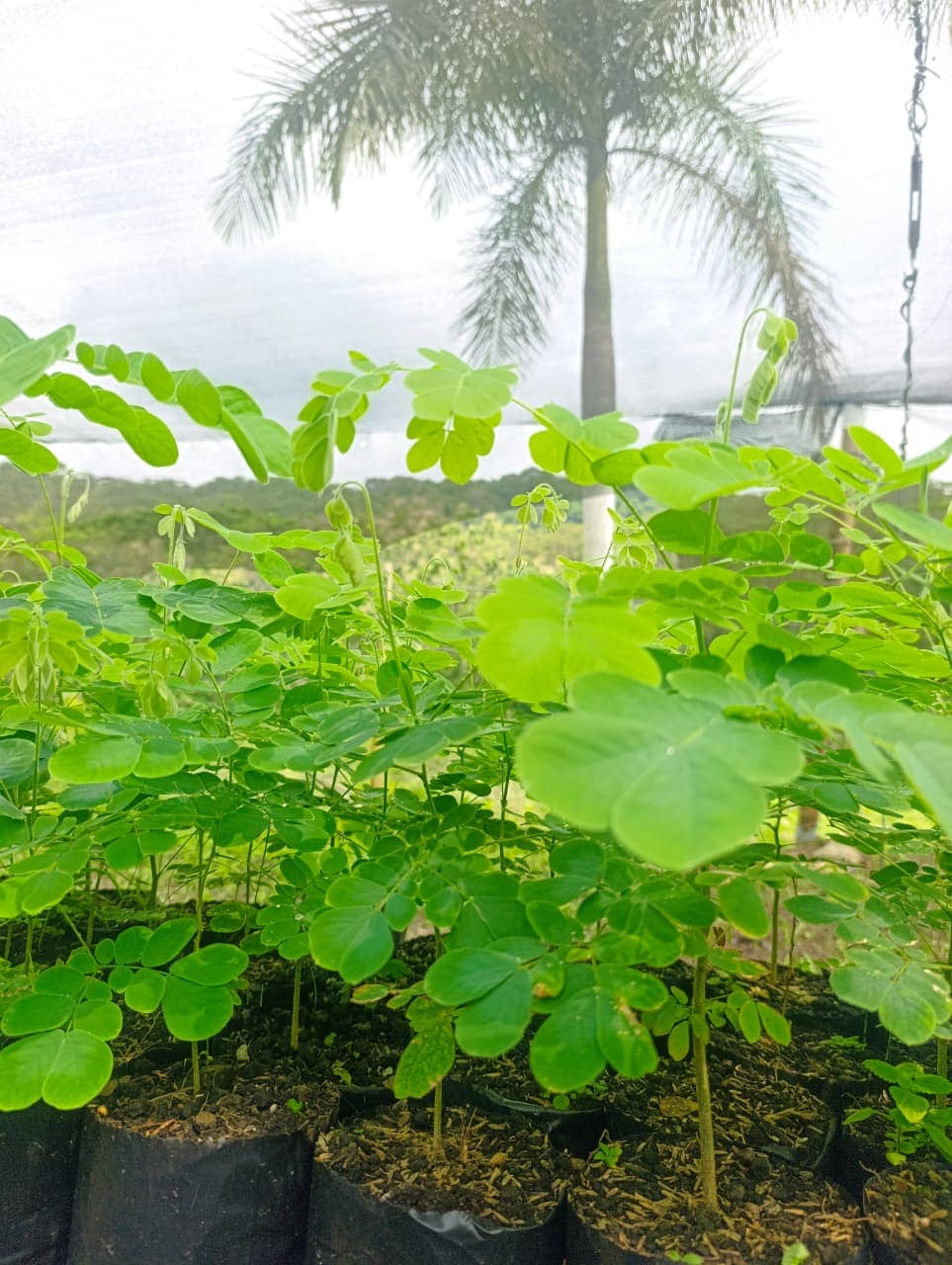 WhatsApp Image 2026-03-05 at 12.28.08 (2).jpeg