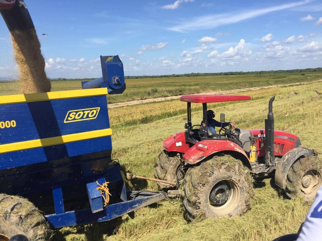 Combo Tractor Zoomlion RN 904-1104 + Remolque Granelero