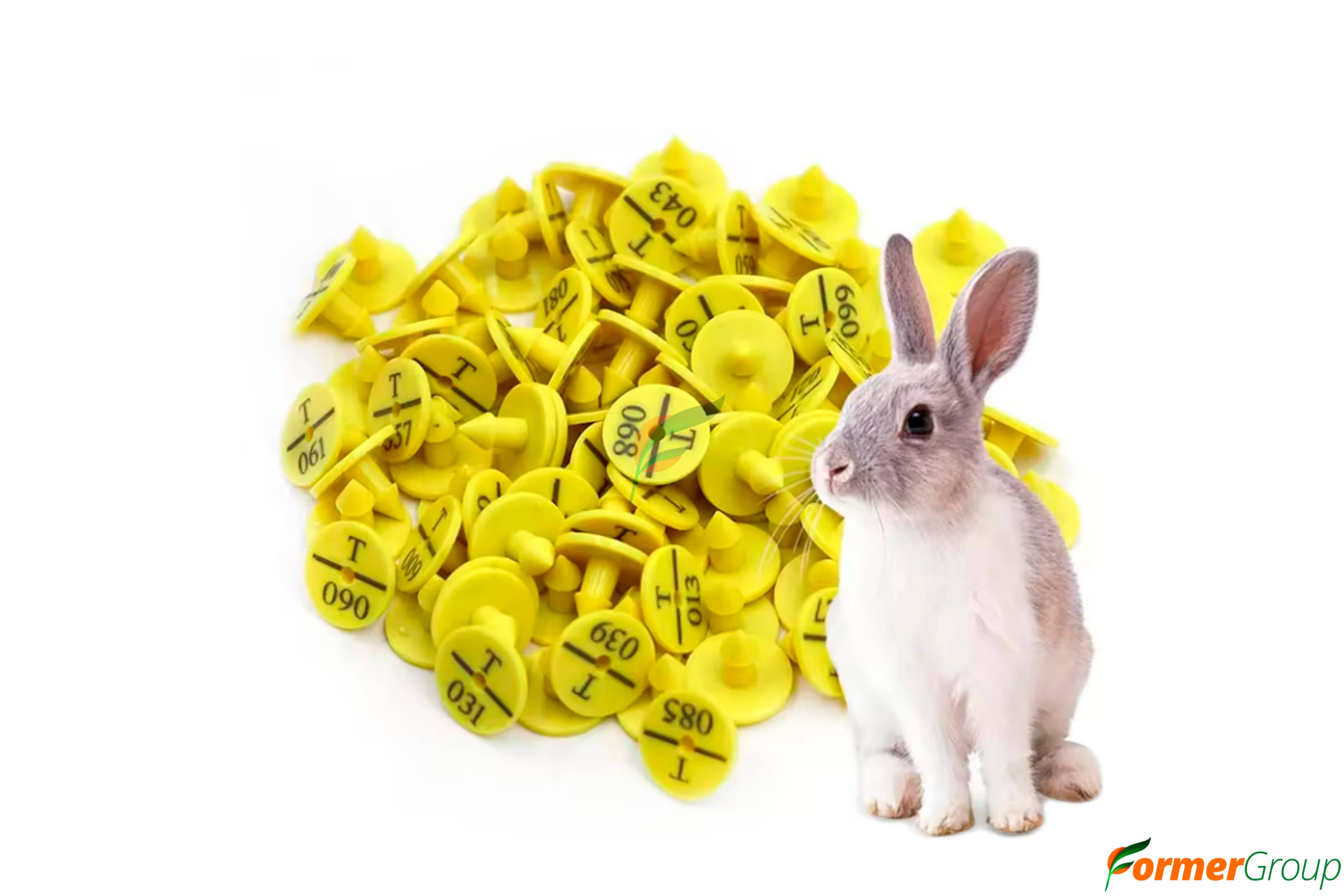 Chapetas Personalizables para Conejos x100