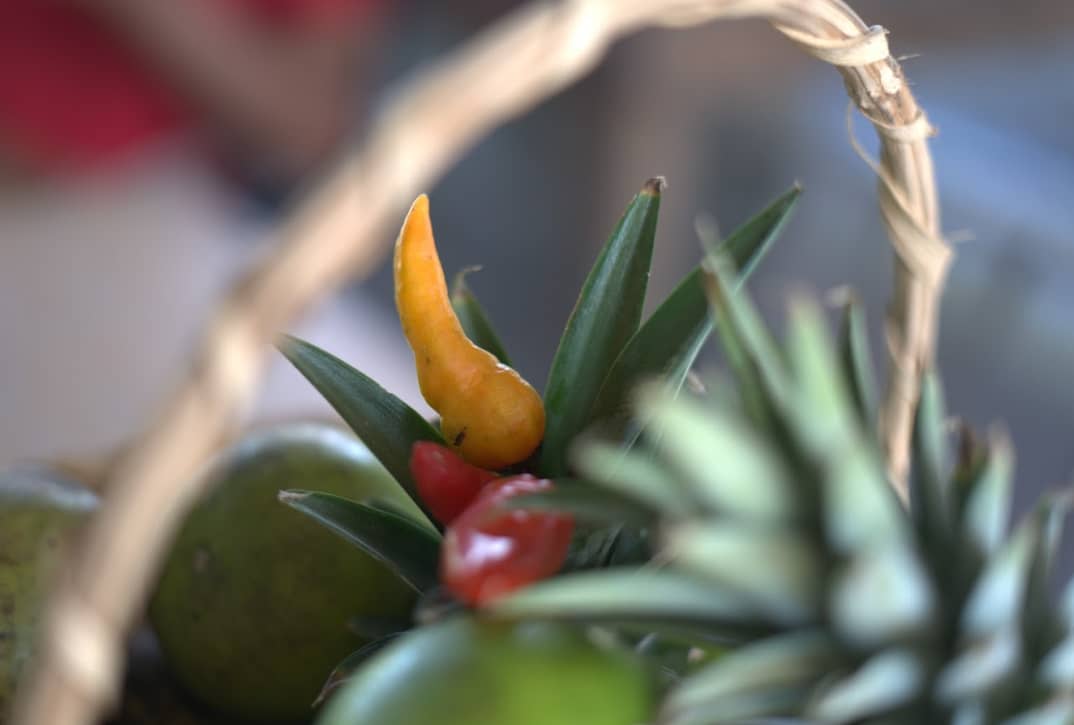 Captura de pantalla 2024-12-11 090456.png