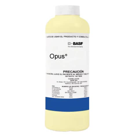 Opus® 12.5 SC | Fungicida curativo para arroz y maíz - BASF
