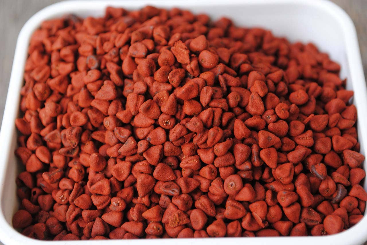 Achiote