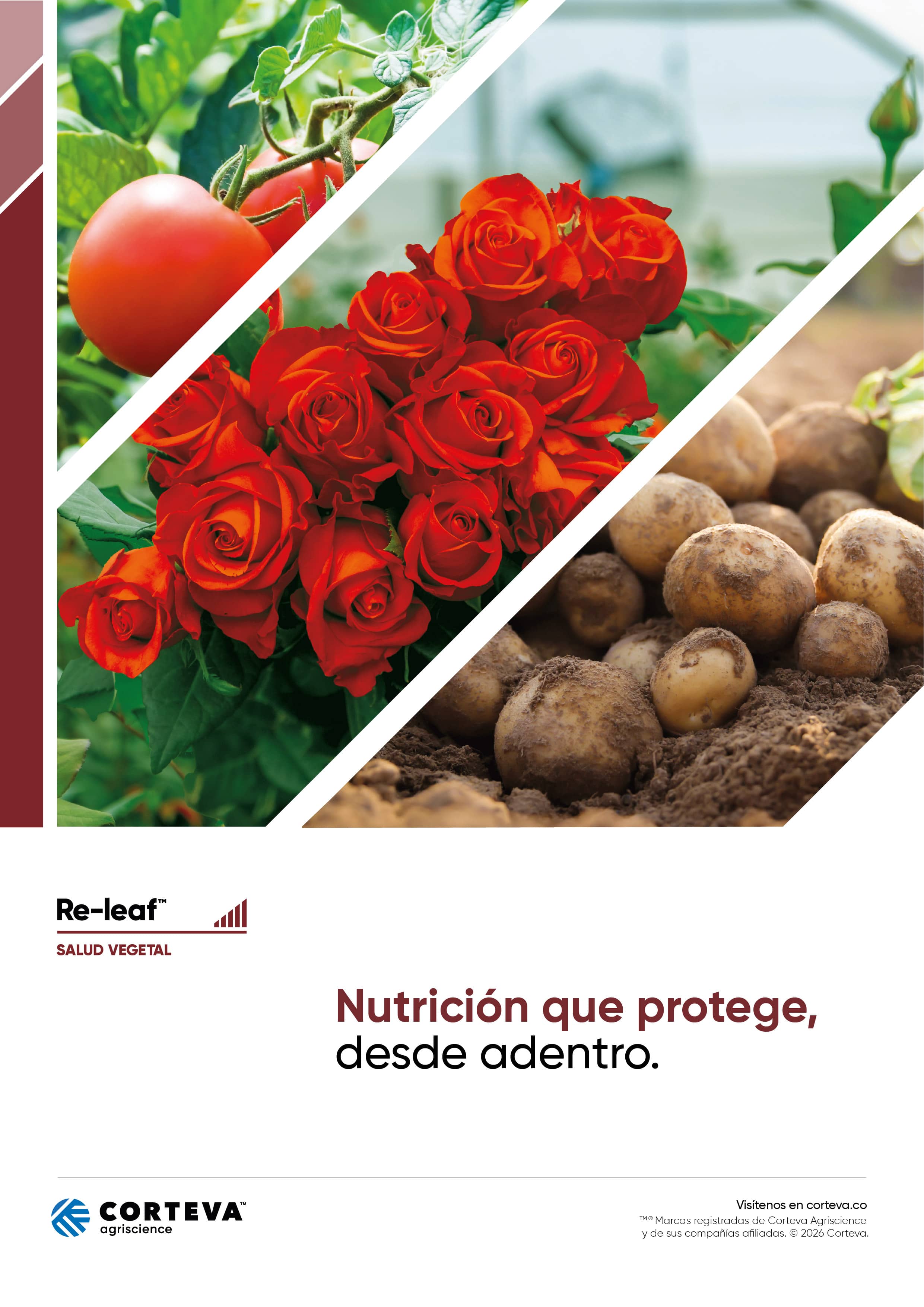 Inductor de resistencia y salud vegetal RE-LEAF™