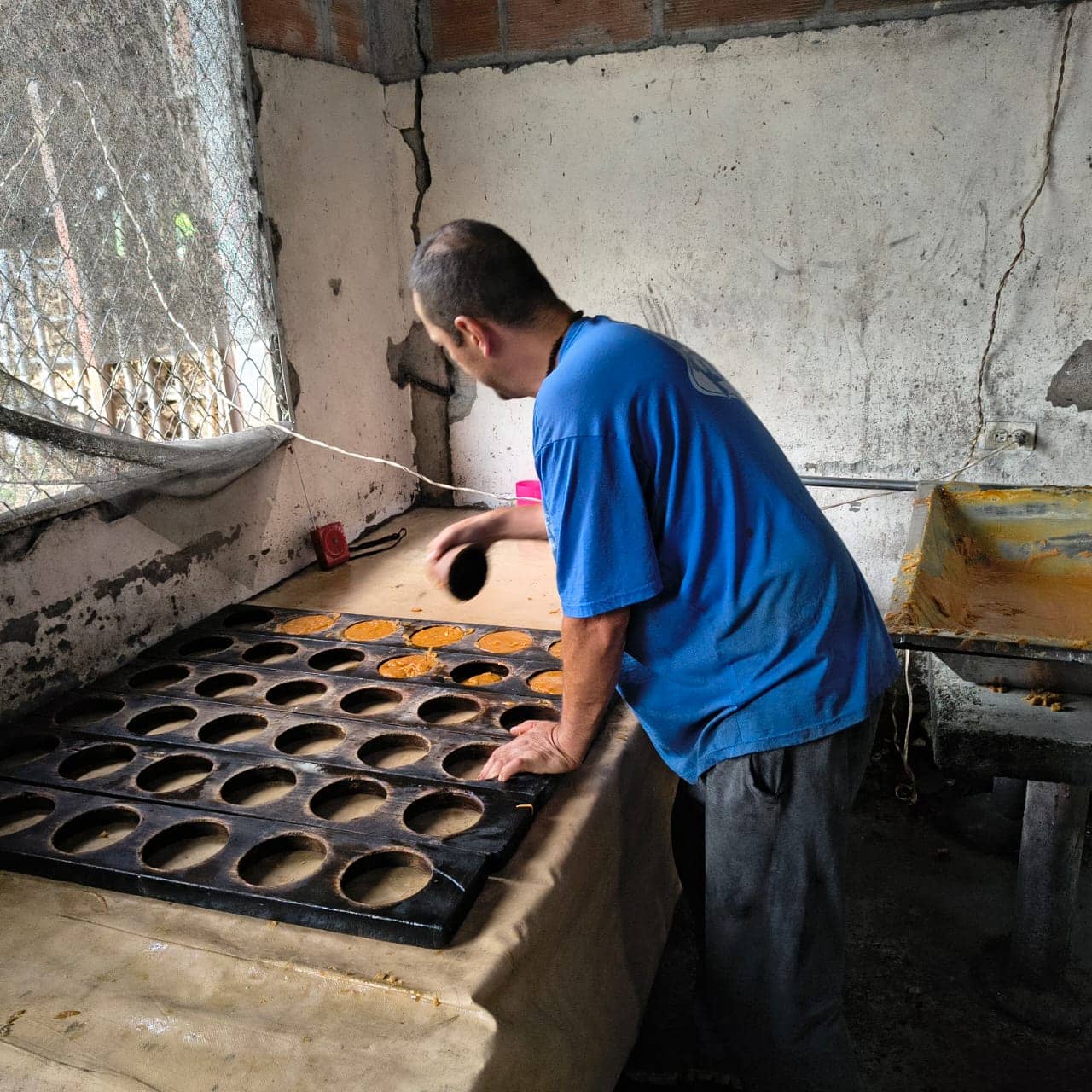 WhatsApp Image 2026-02-13 at 11.13.49 AM.jpeg