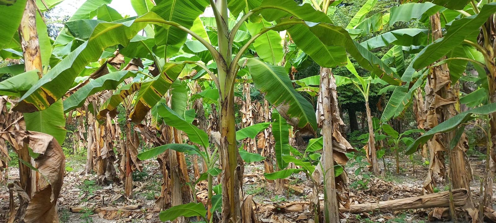 Imagen de WhatsApp 2024-01-26 a las 10.08.26_aa9c31c1.jpg