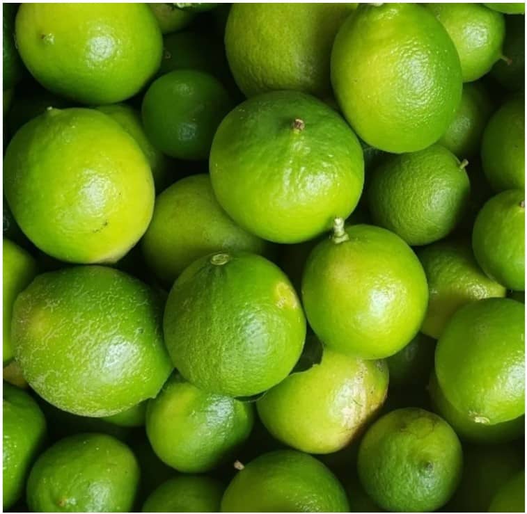 Venta de Limón Común en presentación de 70 kilogramos