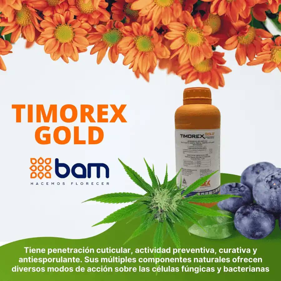 FungicidaTimorex Gold X Litro - Bam