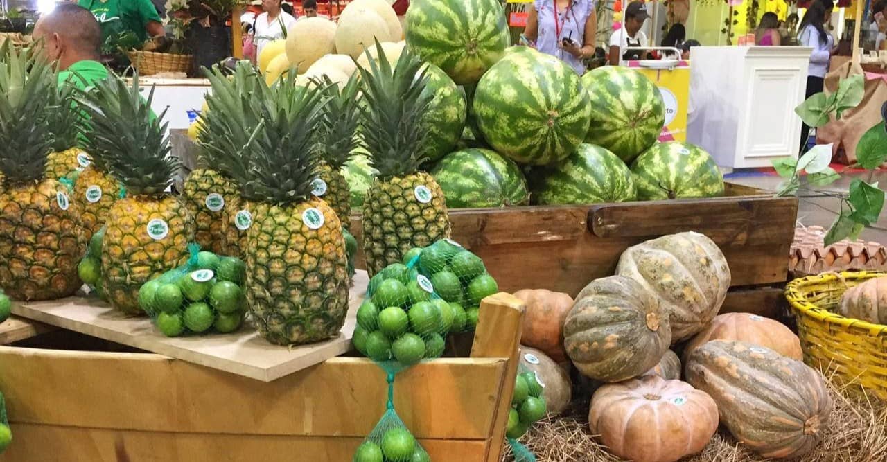 Banner Fertilia.jpeg