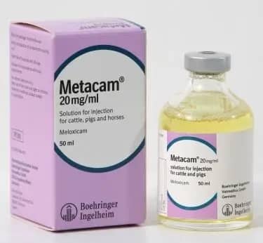 Metacam® Inyectable – Analgésico y antiinflamatorio veterinario