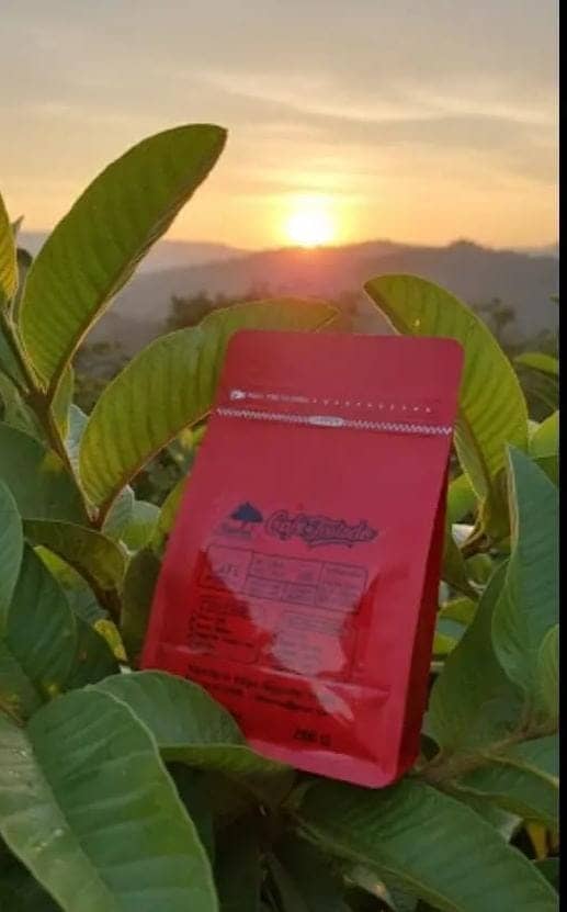 Café Tostado 250gr- 125gr
