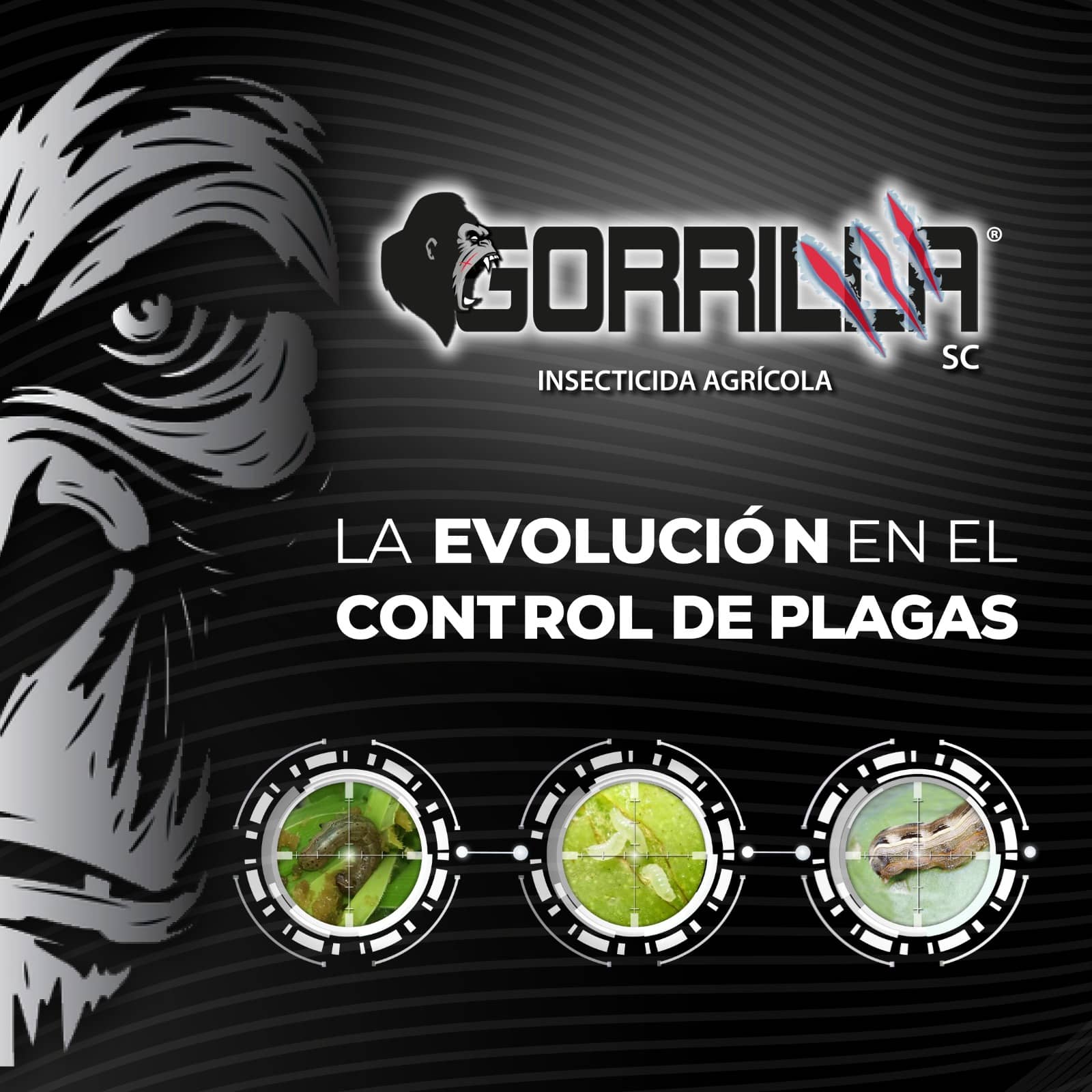 GORRILLA SC Insecticida Emamectina Clorfenapir