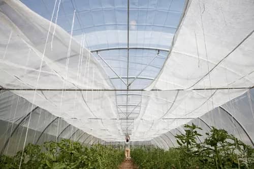 Polisombra para Cultivos y Jardines | Protección UV