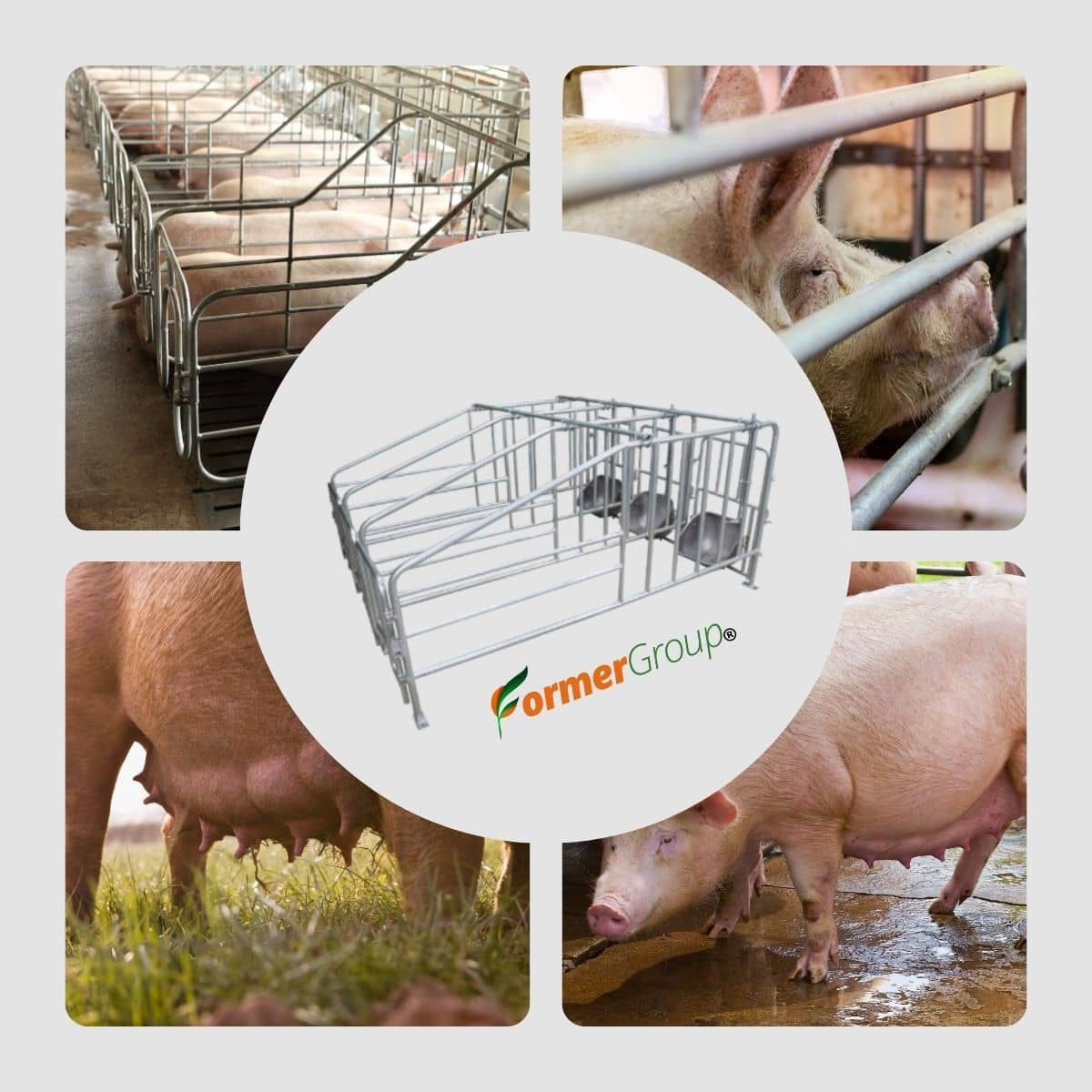 Jaula Gestadora 3 Módulos | Acero Galvanizado