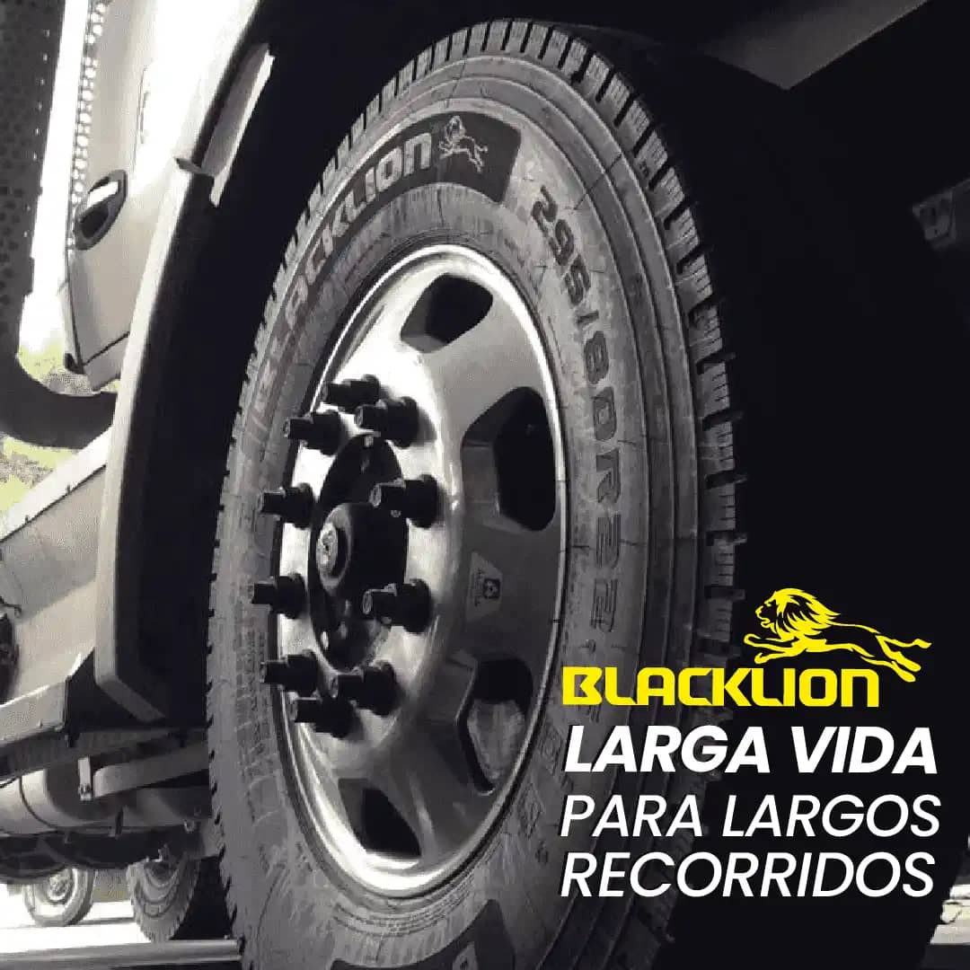 CAMION BLACKLION__Mesa de trabajo 1.png