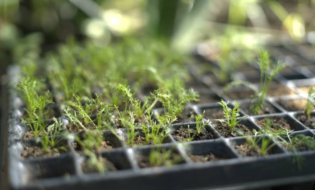 Captura de pantalla 2024-12-10 150234.png