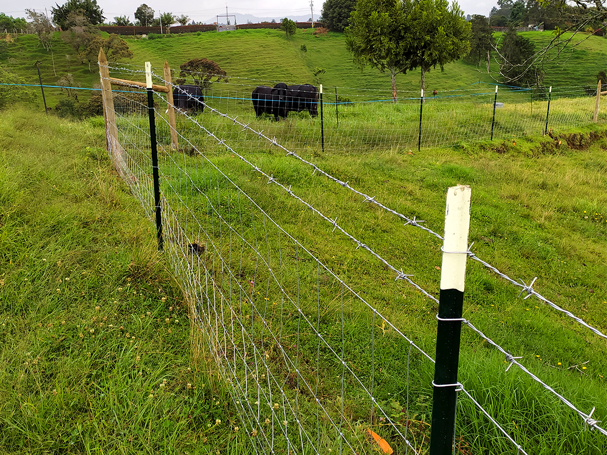 Poste de acero Lechero-Ovino - 1.48 Mt