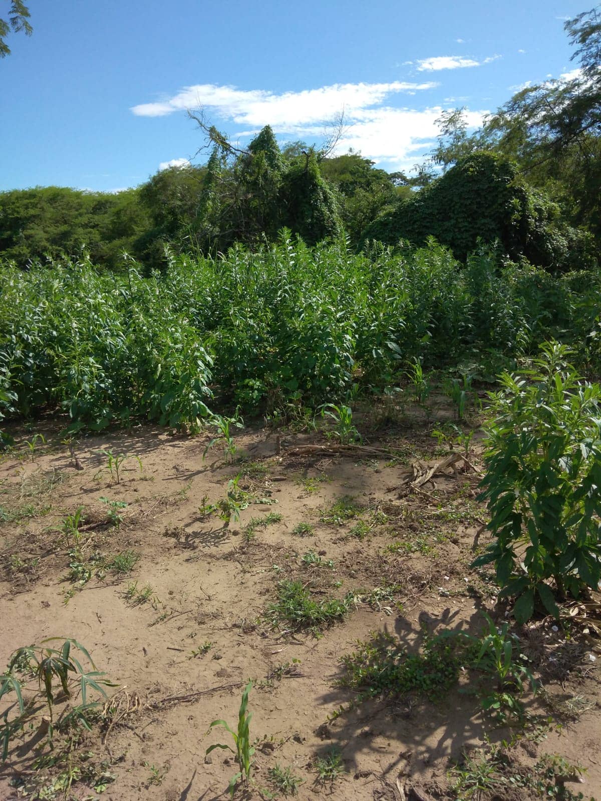 Imagen de WhatsApp 2025-02-21 a las 12.05.35_b411b9ea.jpg