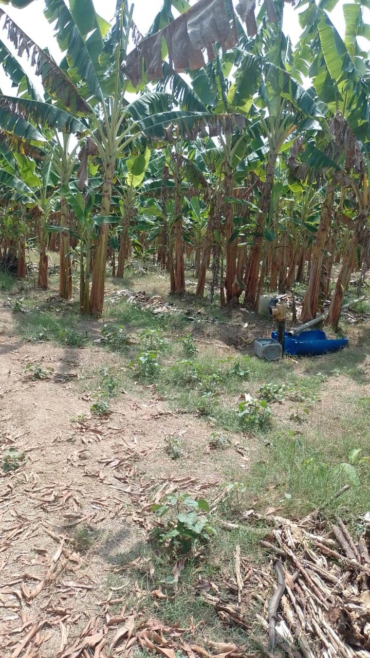 Imagen de WhatsApp 2025-02-21 a las 11.22.17_db6bbcb5.jpg