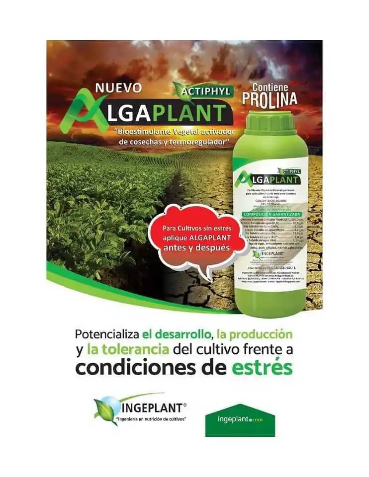 Fertilizante Foliar Alga-Plant