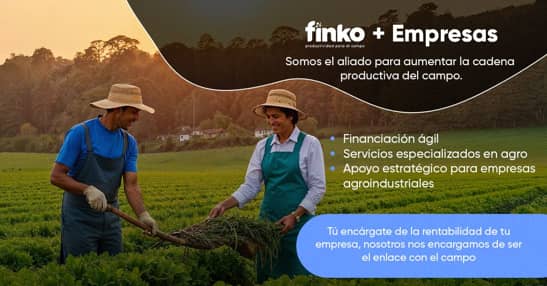 Finko