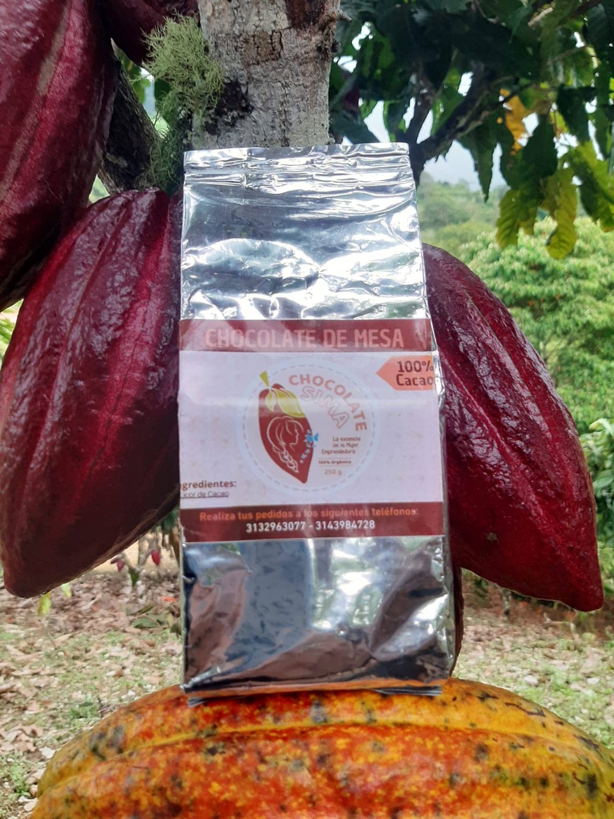 Chocolate de Mesa 250 g | Orgánico y Artesanal