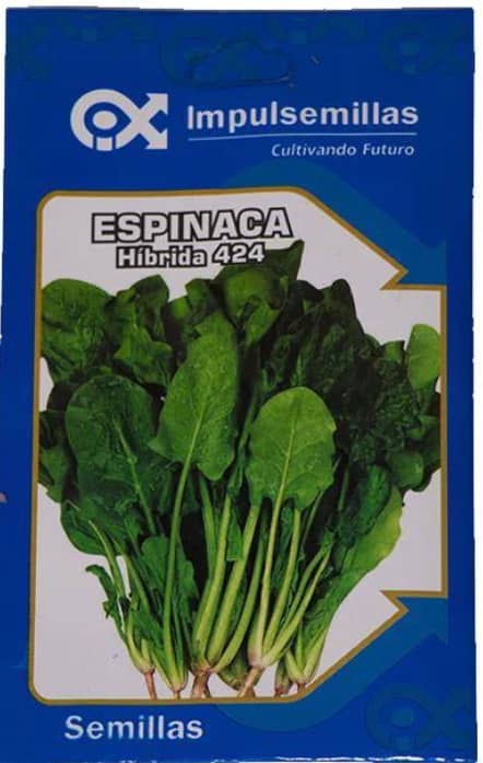 Semilla de Espinaca híbrida 424 x 5 gr