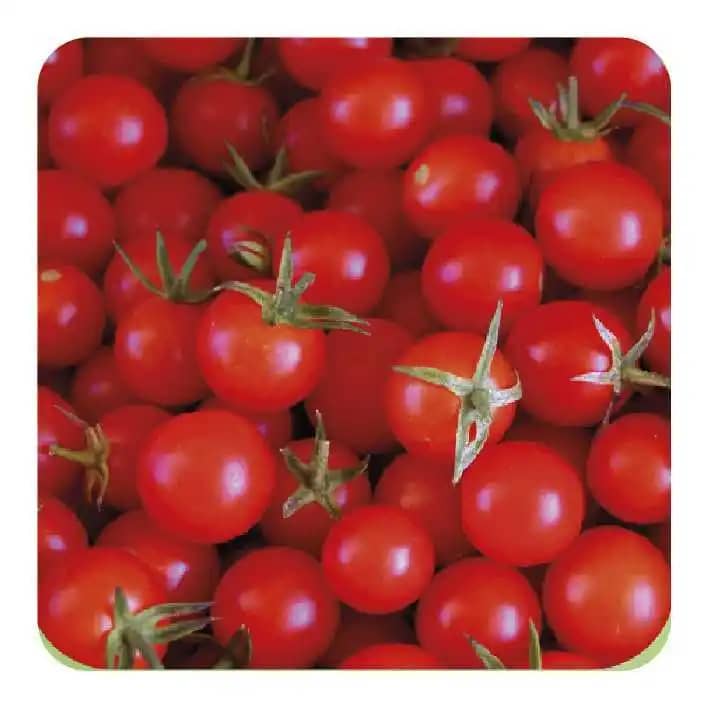 Semilla de Tomate Híbrido Tropical Cherry x 1000 Uni