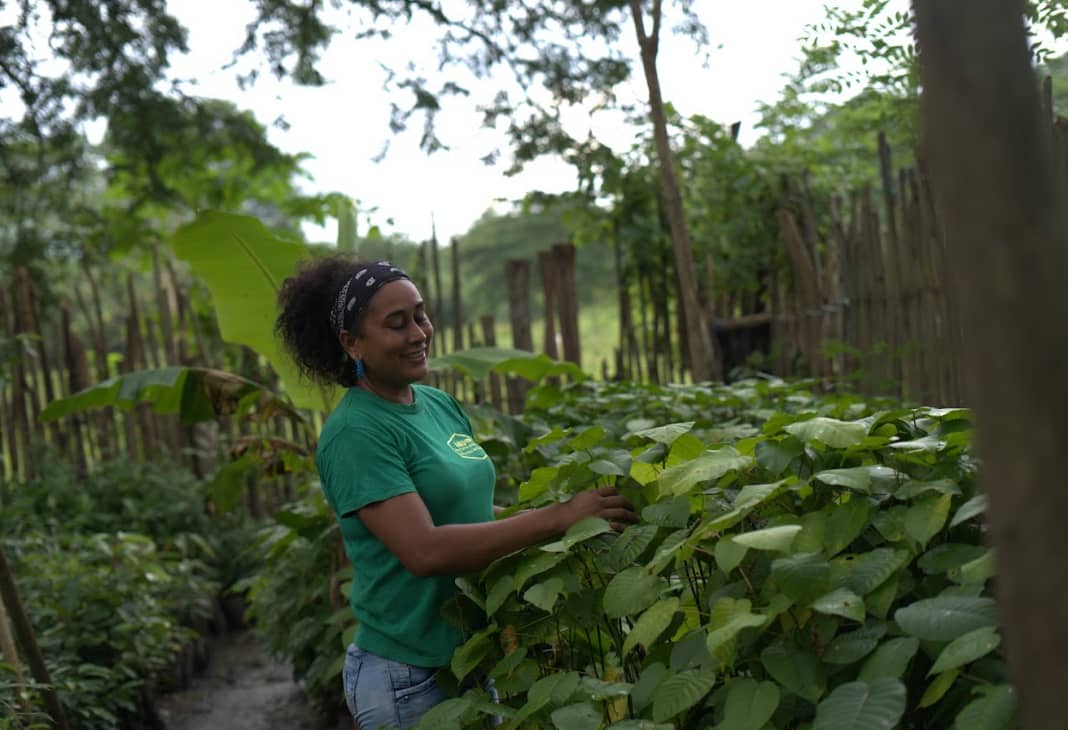Captura de pantalla 2024-12-20 095003.png