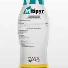 MITIOYR.jpg