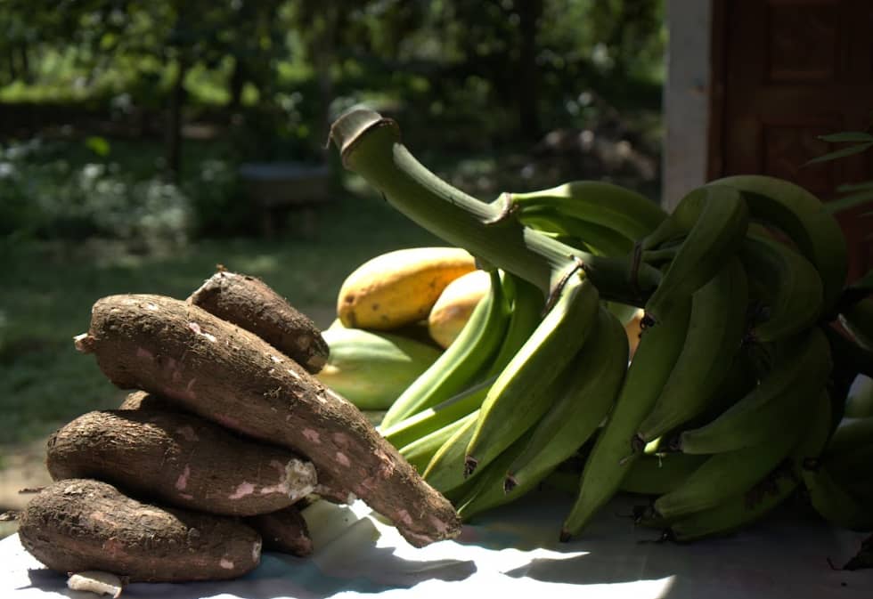 Captura de pantalla 2024-12-11 095048.png