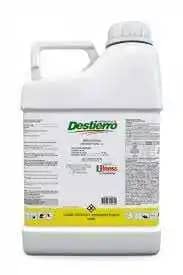 DESTIERRO.jpg