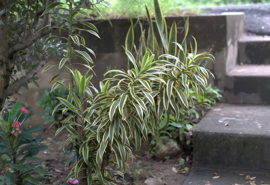 Captura de pantalla 2024-12-20 095530.png