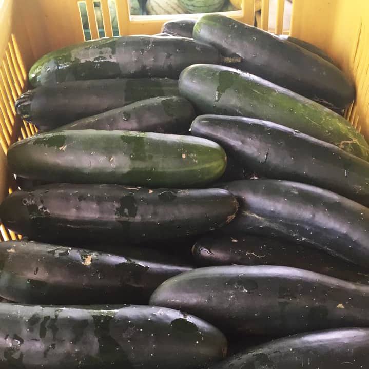 pepino.jpg