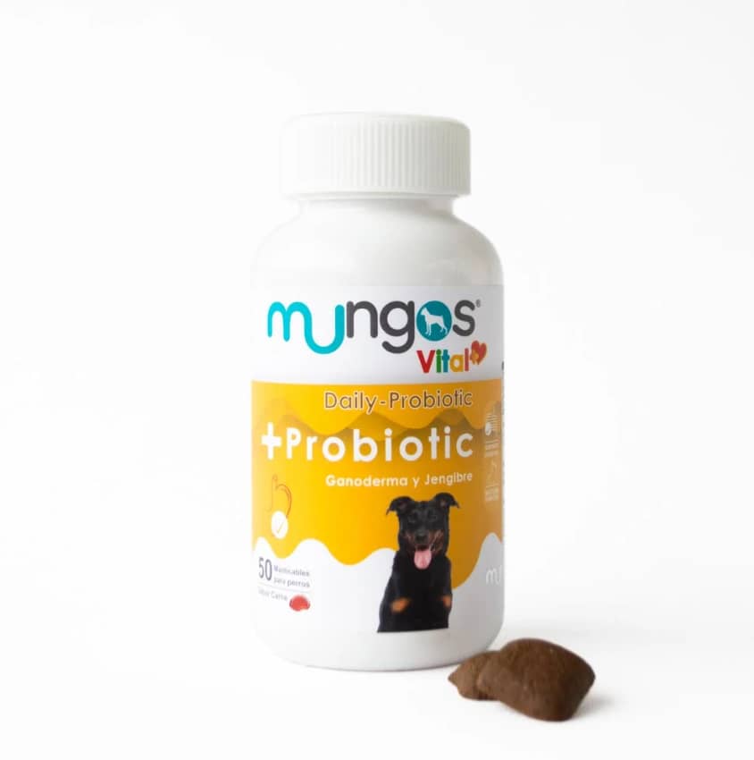 Mungosvital+ Probiotic - 50 Masticables