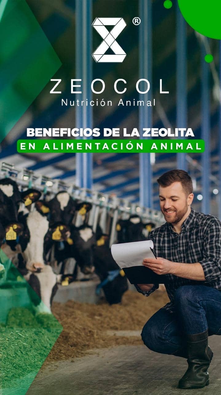 ZEOCOL alimentación animal - Bulto 50 kg (Zeolita mineral)