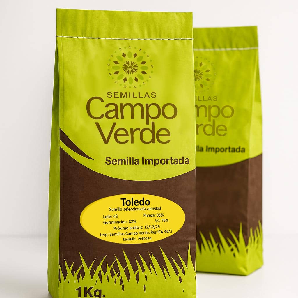 Semilla de pasto Brizantha Toledo (MG5/Xaraés) – Pureza 93% – VC 76% – Importada de Brasil