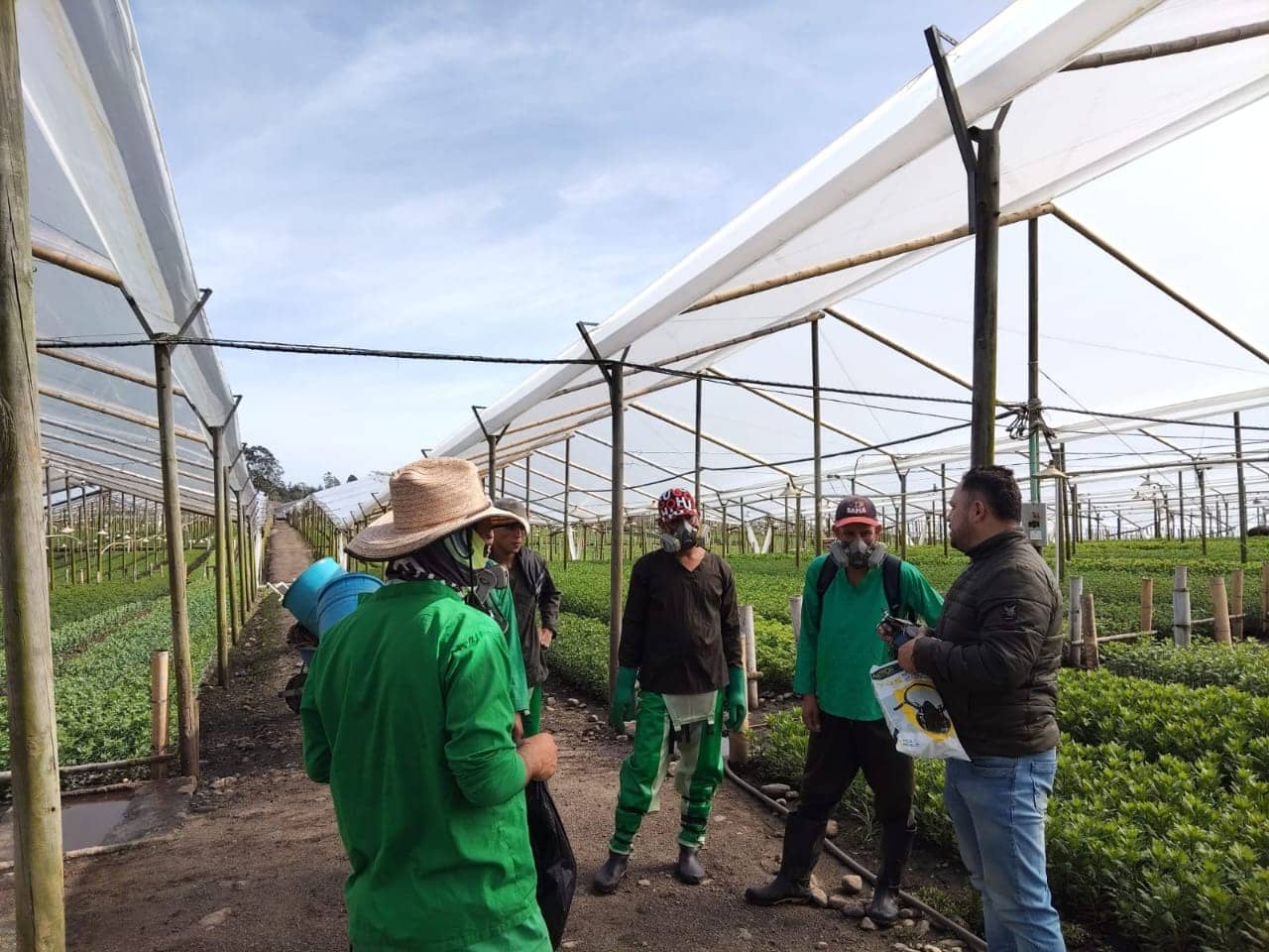 Máscara Media Cara 602 ARMOR – Protección Respiratoria Agro e Industria