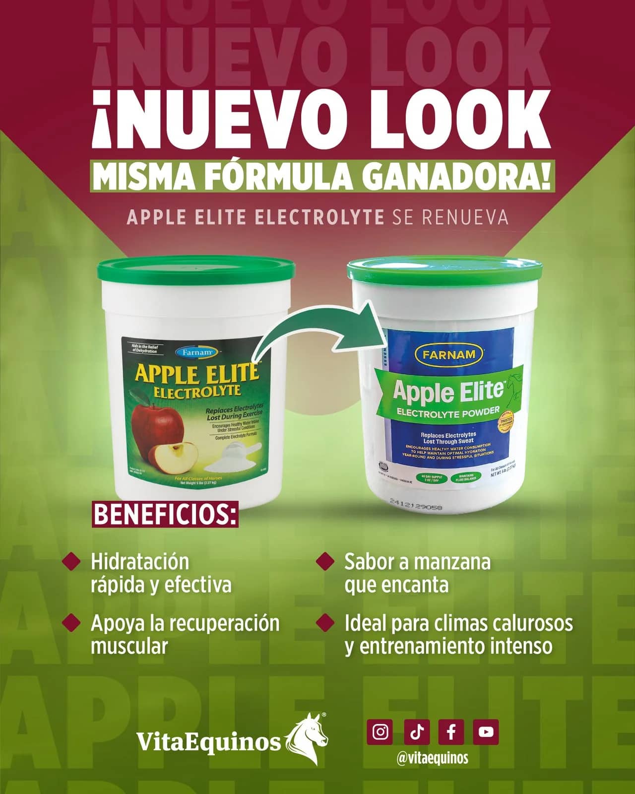 Apple Elite Electrolitos Caballos | Hidratación y energía