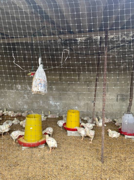 Captura de pantalla 2024-12-19 171524.png