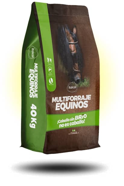 Suplemento Multiforraje Equino H x 40 Kg