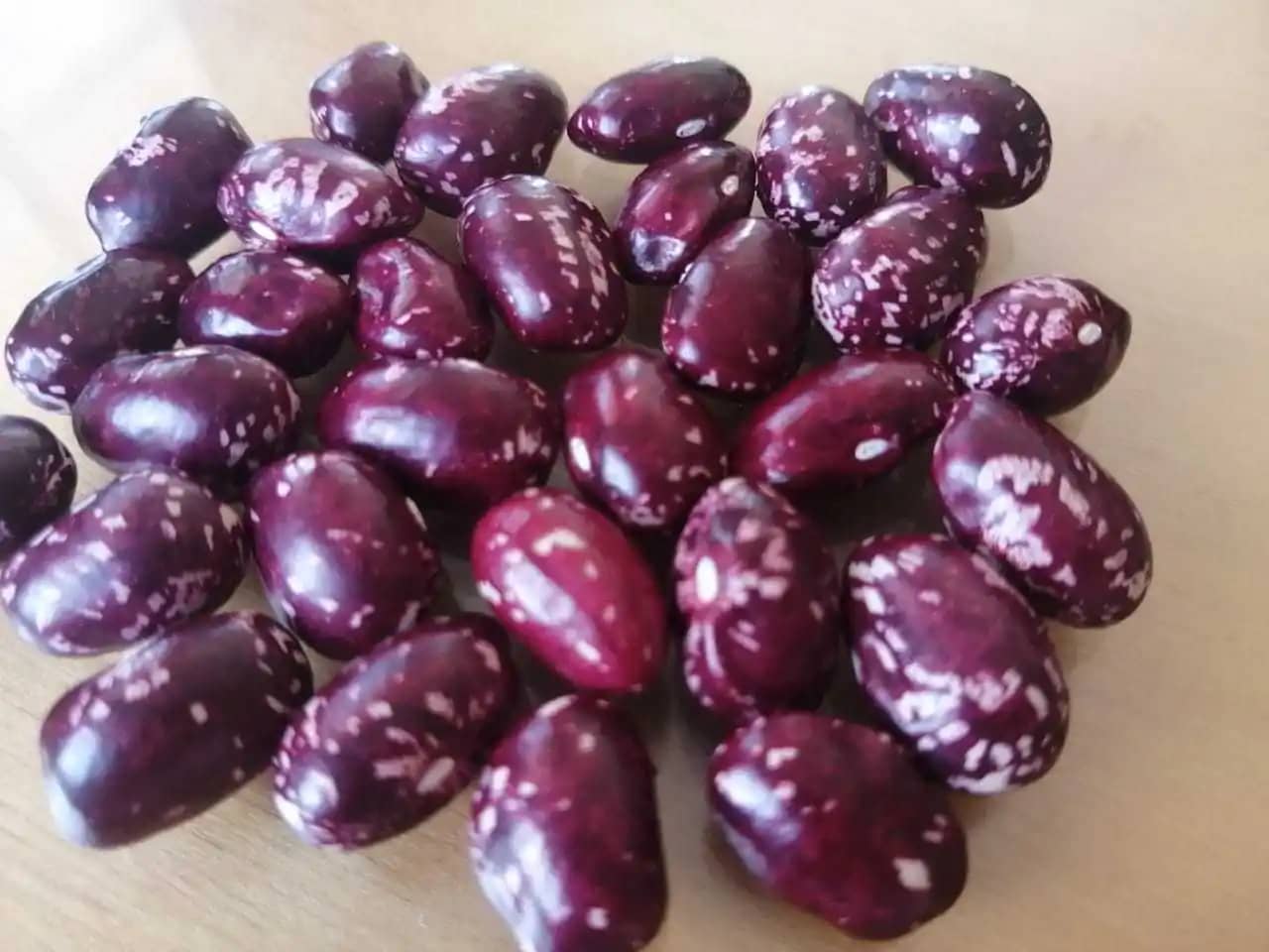Frijo Cargamanto Rojo