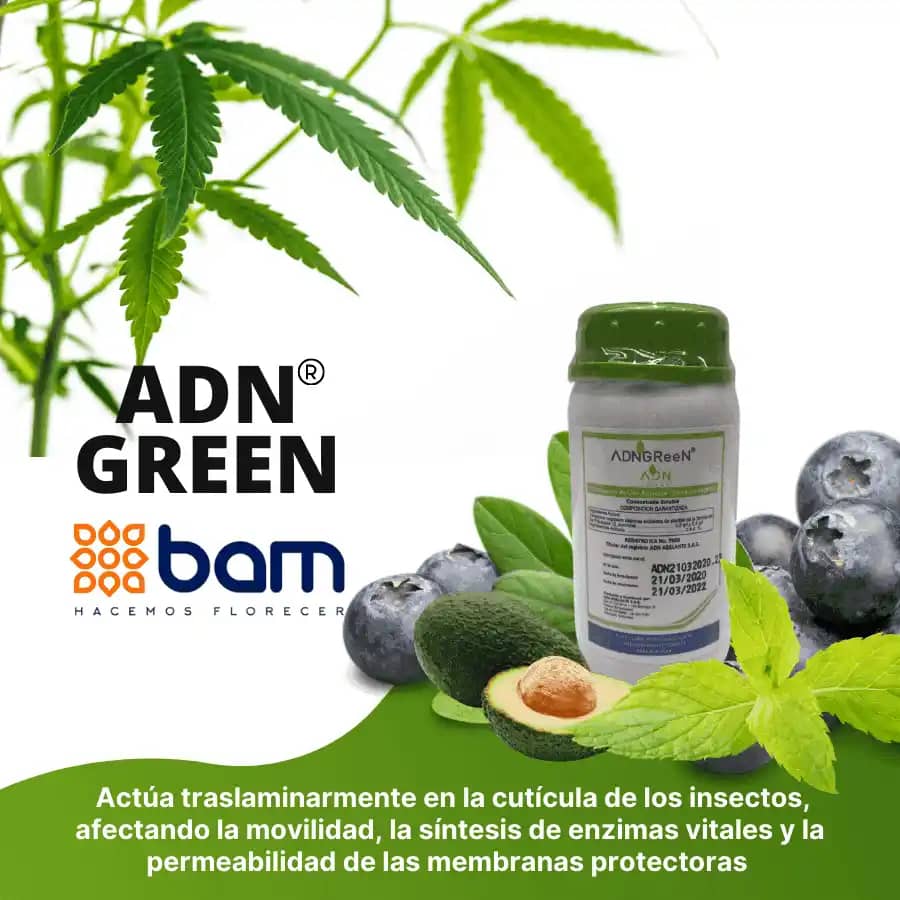 Insecticida Orgánico Adn Green X litro