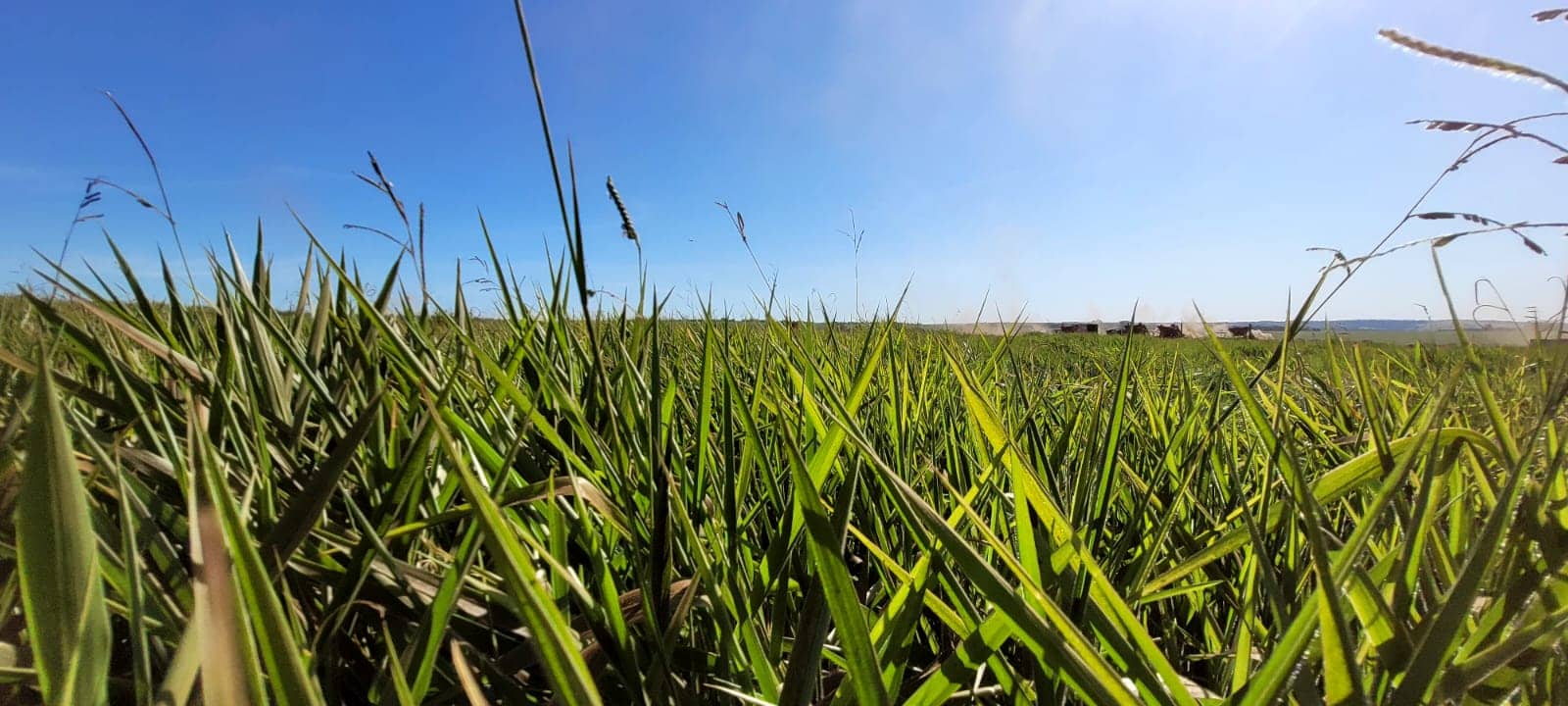 WhatsApp Image 2025-10-31 at 2.52.36 PM (1).jpeg